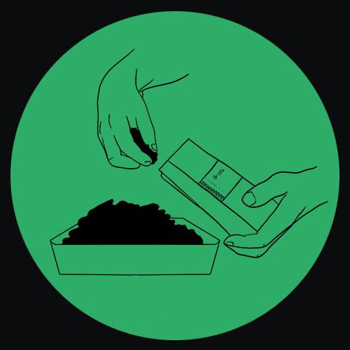 seeds indica sativa