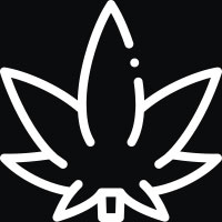 Logo pour culture graine de cannabis THC et CBD
