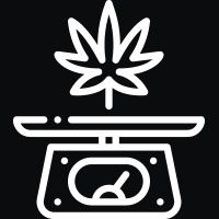 culture THC culture THC