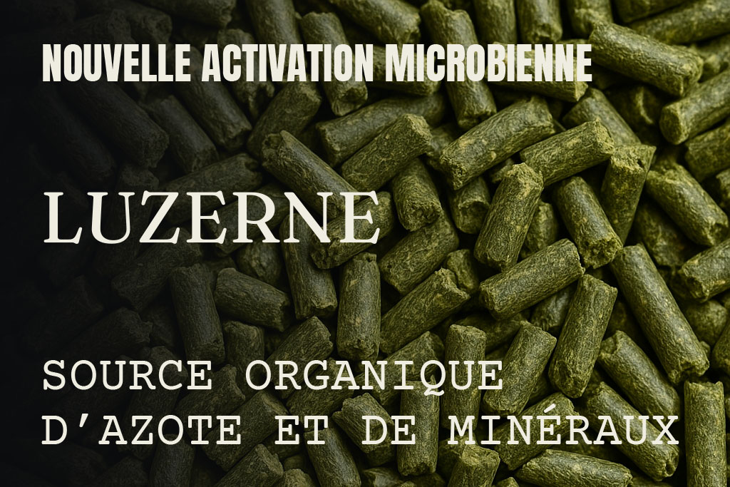 Luzerne Organique