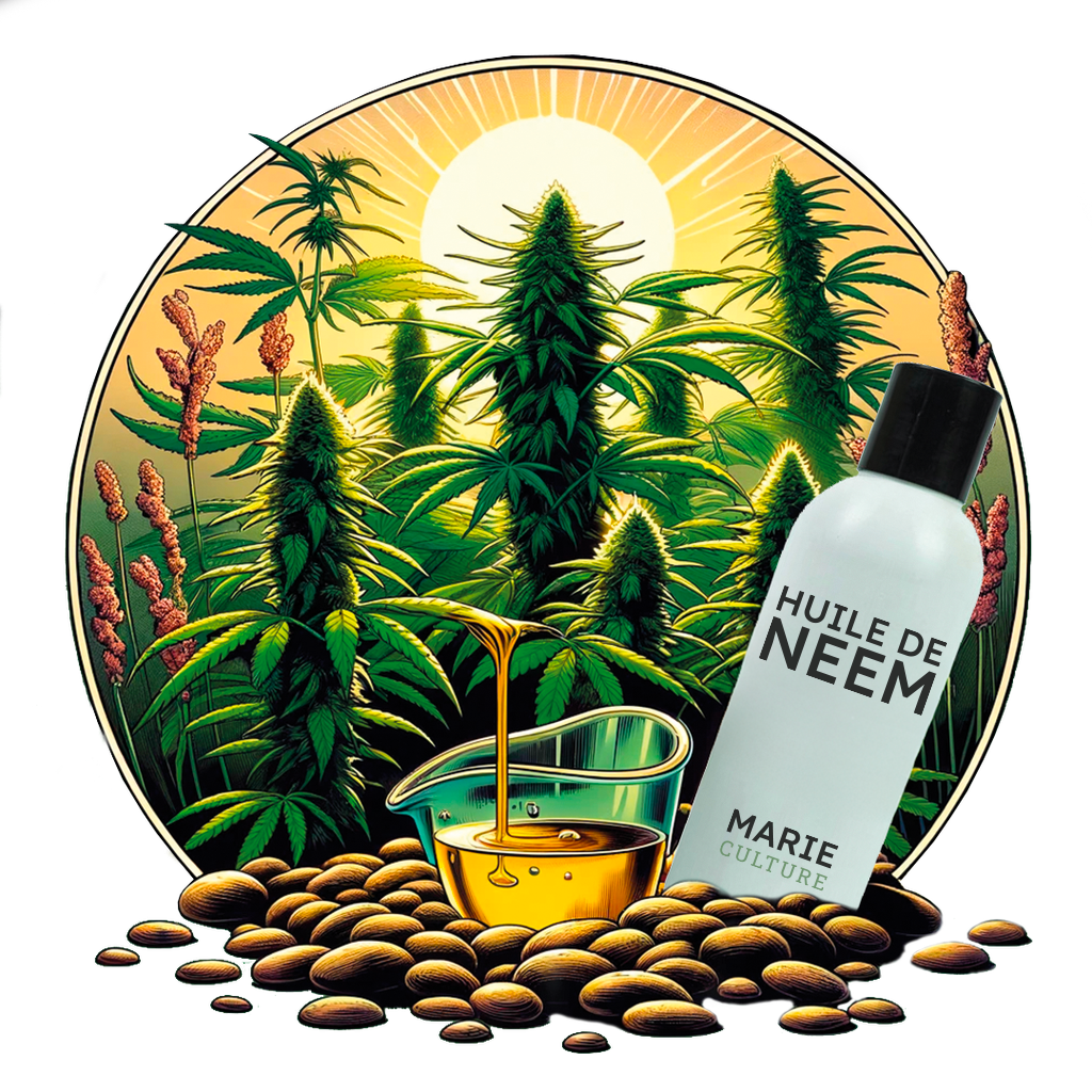 Huile de Neem