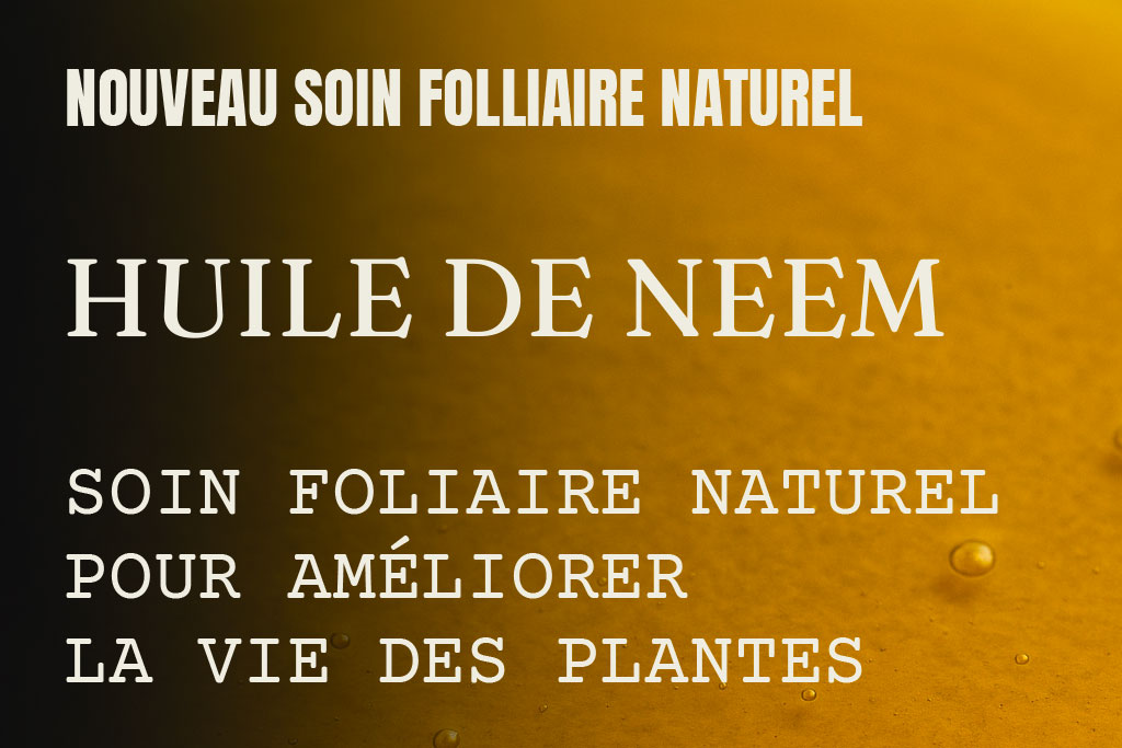 Huile de Neem