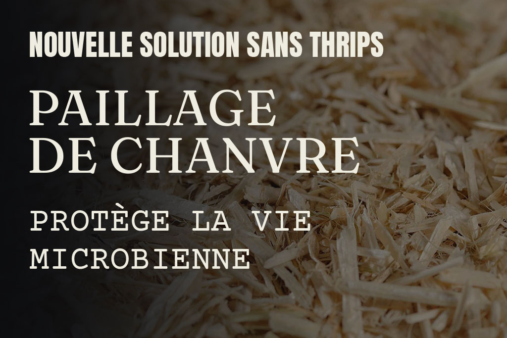 Paillage de Chanvre