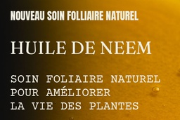 Huile de Neem