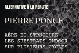 Pierre Ponce